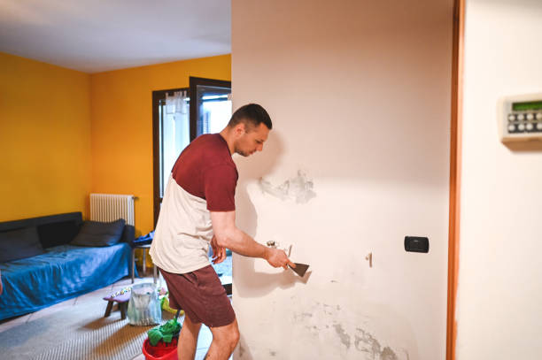 Home Mold Removal in South Willard, UT
